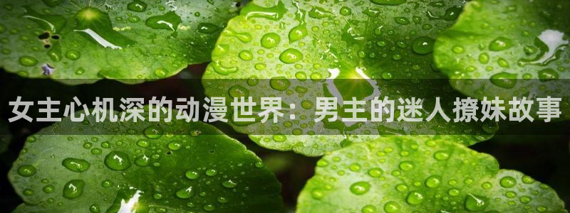 age动漫官网网址