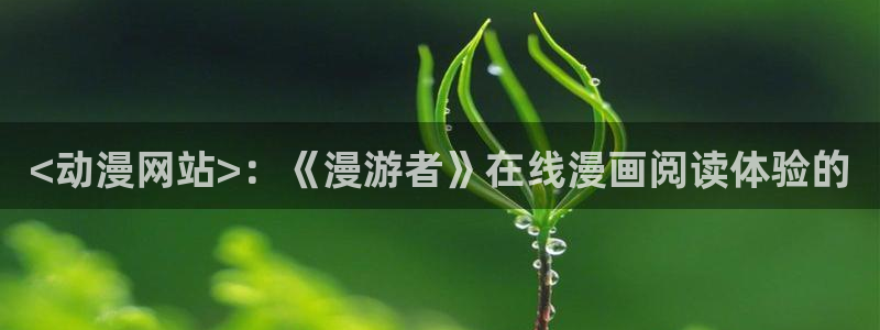 age动漫：<动漫网站>：《漫游者》在线漫画阅读体验的