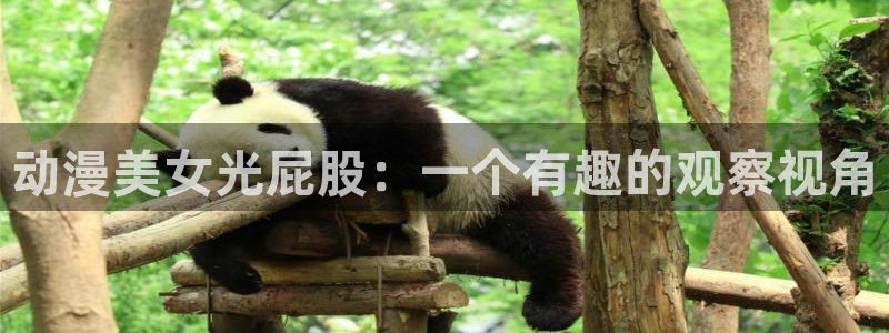 age动漫专注动漫的门户网站：动漫美女光屁股：一个有趣的观察视角