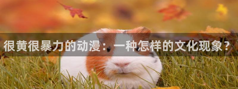 age专注动漫的门户网站：很黄很暴力的动漫：一种怎样的文化现象？