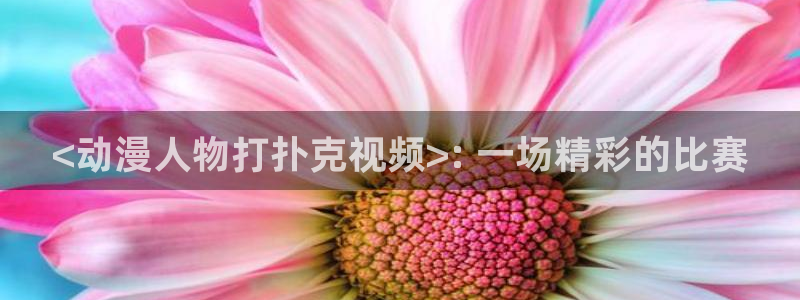 age动漫网：<动漫人物打扑克视频>: 一场精彩的比赛