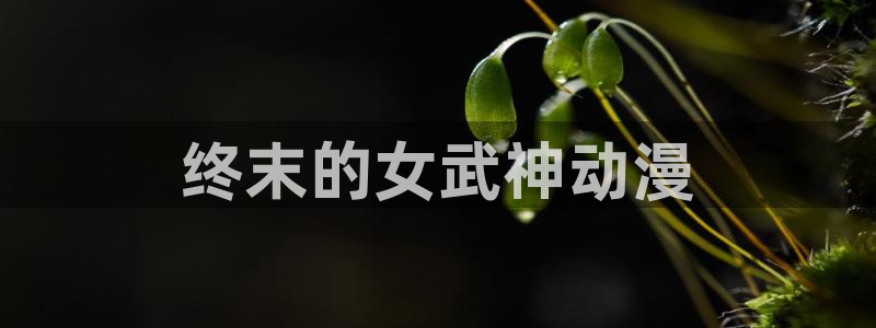 age动漫官网入口老版本：终末的女武神动漫
