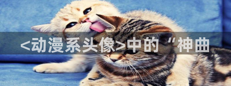 lovestage漫画免费阅读：<动漫系头像>中的“神曲