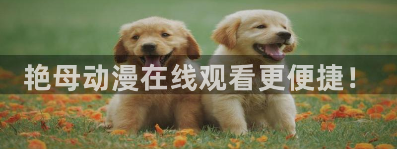 age动漫正版网：艳母动漫在线观看更便捷！