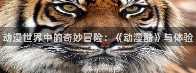 age动漫官网入口老版本