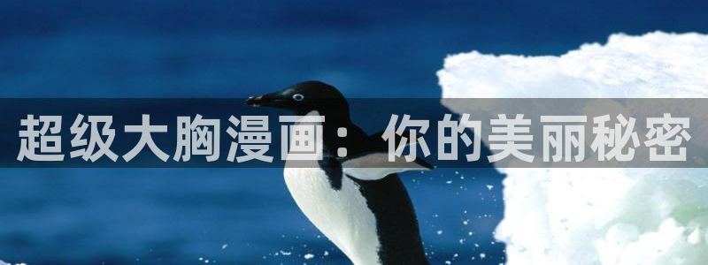 拷贝漫画 copymanager.ory网站