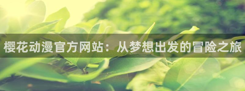 age动漫官网网址