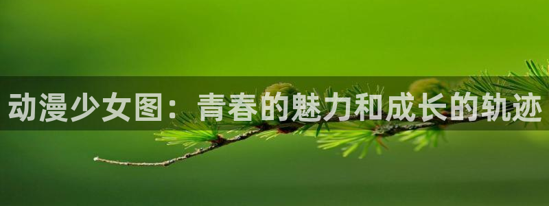 age动漫网