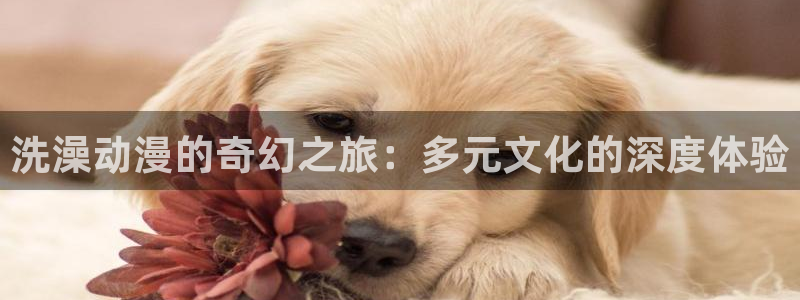 age动漫下载网