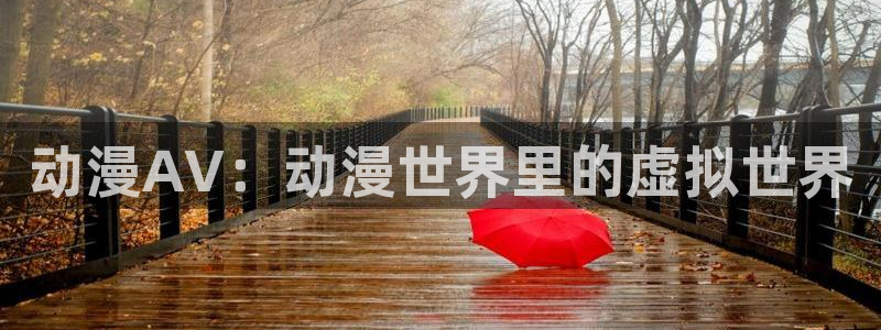 age动漫正版网