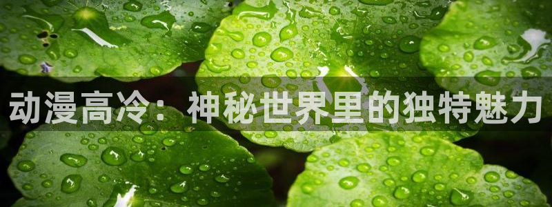 age动漫下载网