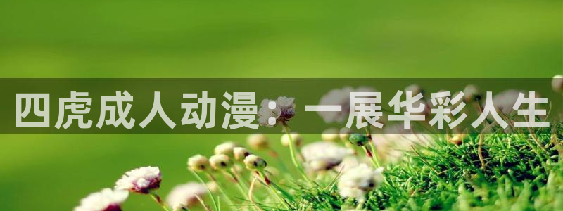 age动漫网