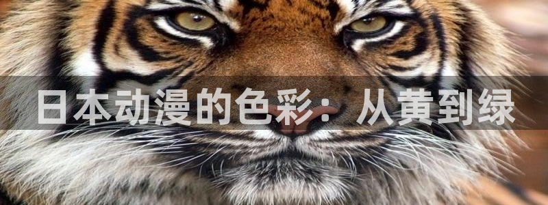 age动漫网下载