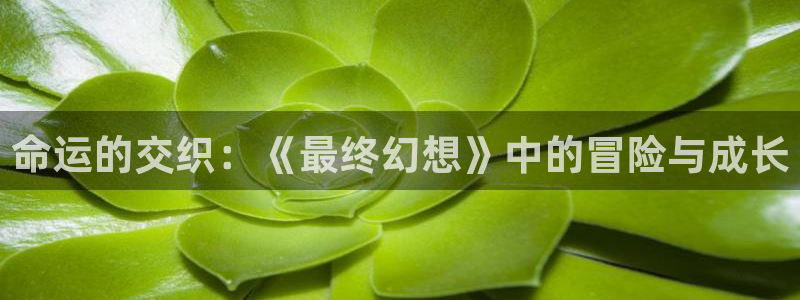 age动漫官网樱花动漫
