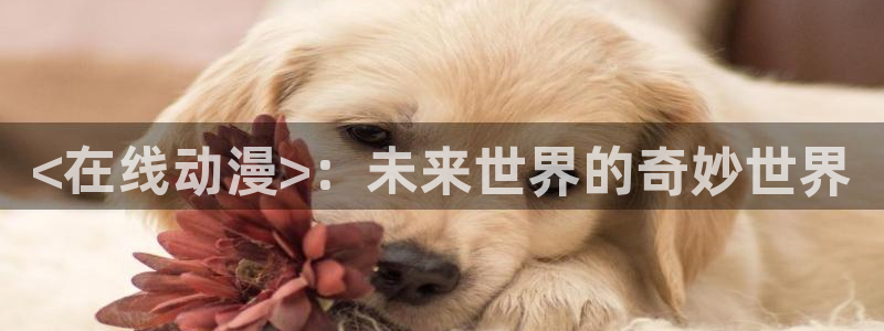 age樱花动漫：<在线动漫>：未来世界的奇妙世界