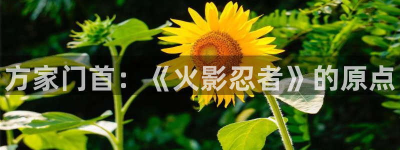 韩国漫画平台kakaopage：方家门首：《火影忍者》的原点