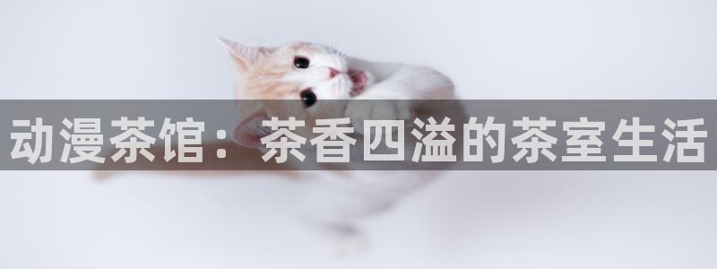 age动漫正版网：动漫茶馆：茶香四溢的茶室生活